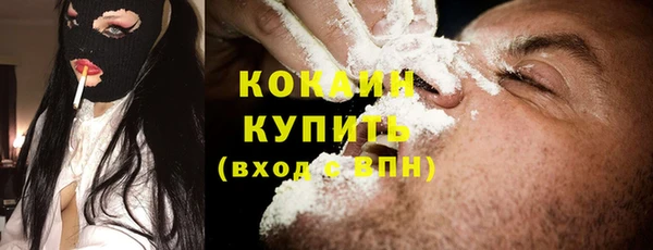 соль ск Богородицк