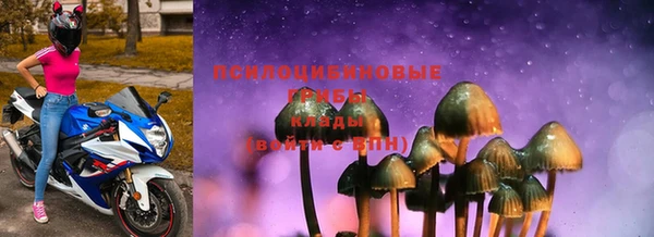 эйфоретик Богородск
