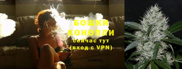 ешки Богданович