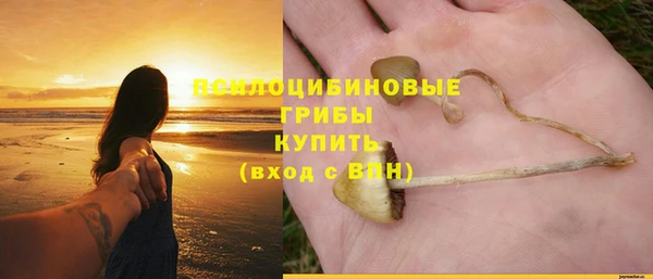 соль ск Богородицк