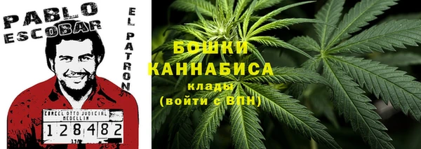 ешки Богданович